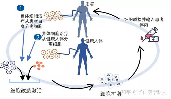 超四万受害者上当 央视揭露免费干细胞注射背后的惊人真相与骗局内幕