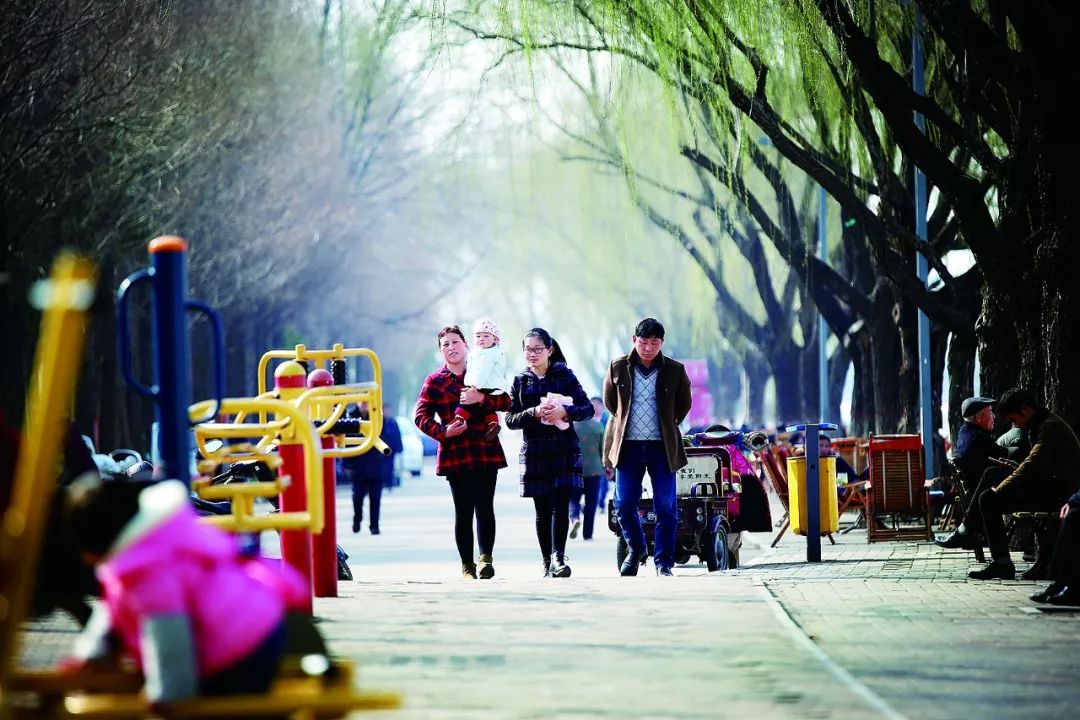 在春风暖阳下追寻旧时韵味探讨生活的变迁与情感的滋长