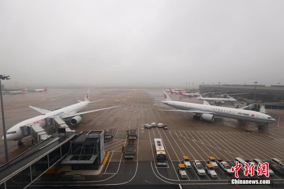 在最强台风来袭前 上海机场为何提前18小时停航揭秘背后的原因与影响