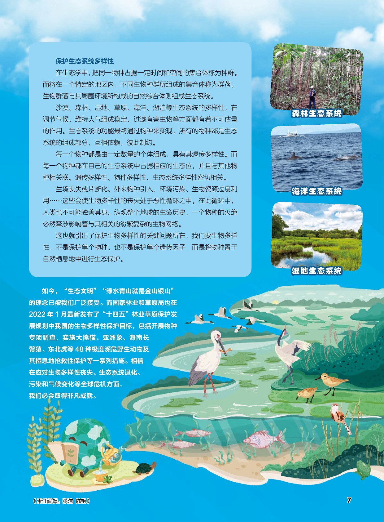 探寻新物种之旅多样化方式保护候鸟守护地球生物多样性
