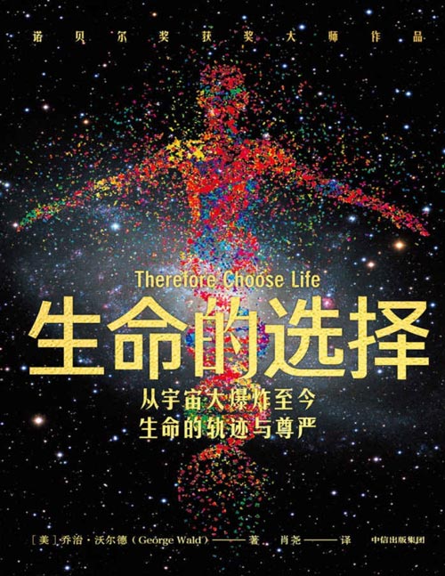 探索人生的双重轨迹 第一季带你揭示命运的不同选择与可能性