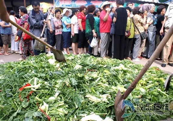 菜价暴涨引发奇葩现象 这里竟然流行起了偷偷采摘蔬菜的风潮
