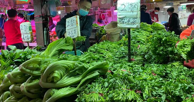 菜价暴涨引发奇葩现象 这里竟然流行起了偷偷采摘蔬菜的风潮