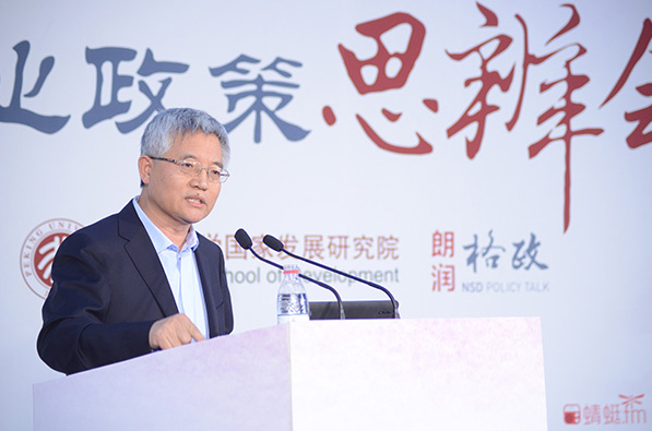 专家剖析张维迎观点产业政策的可持续性面临严峻挑战与反思