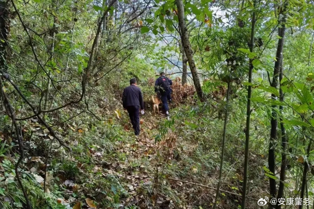 七旬老人误入庐山深山迷路 江西警方与热心市民联合开展紧急救援行动