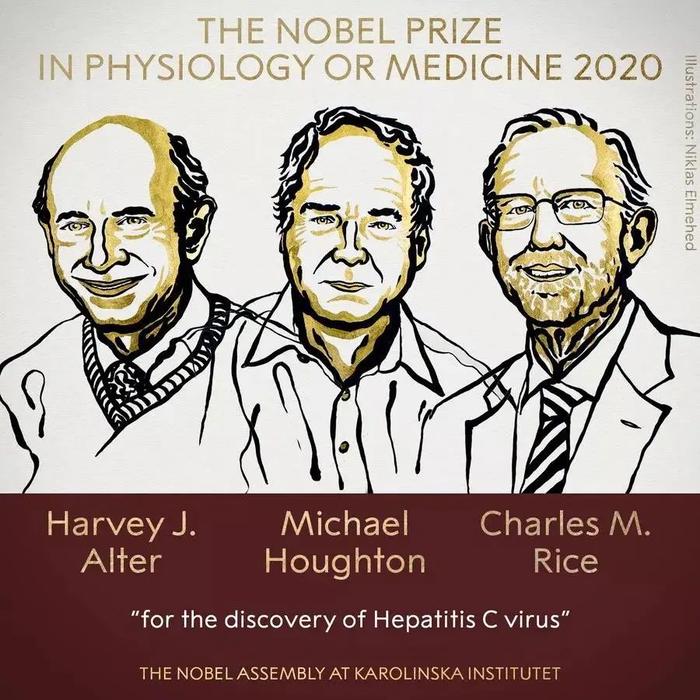 科学家们成功发现微小核糖核酸 荣膺2024年度诺贝尔生理学或医学奖揭秘