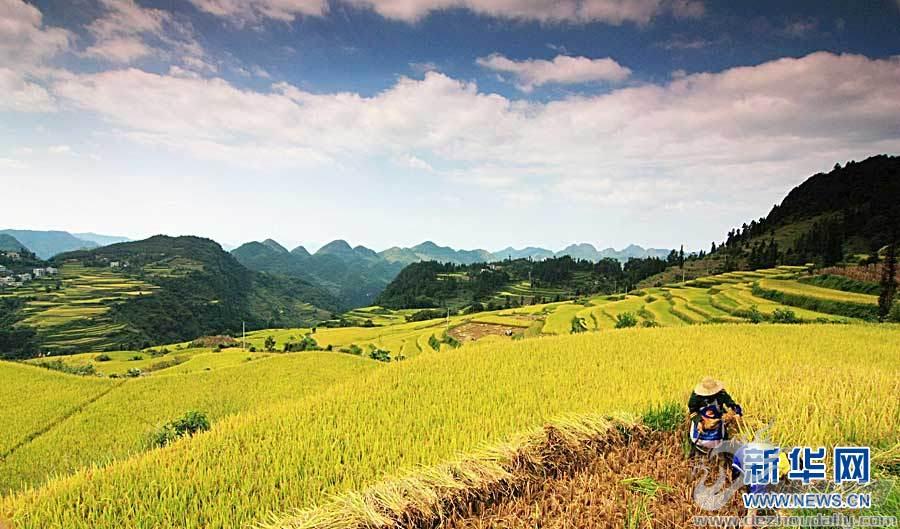 金秋时节祖国大地美景如画探索丰收的奇妙旅程与自然的魅力