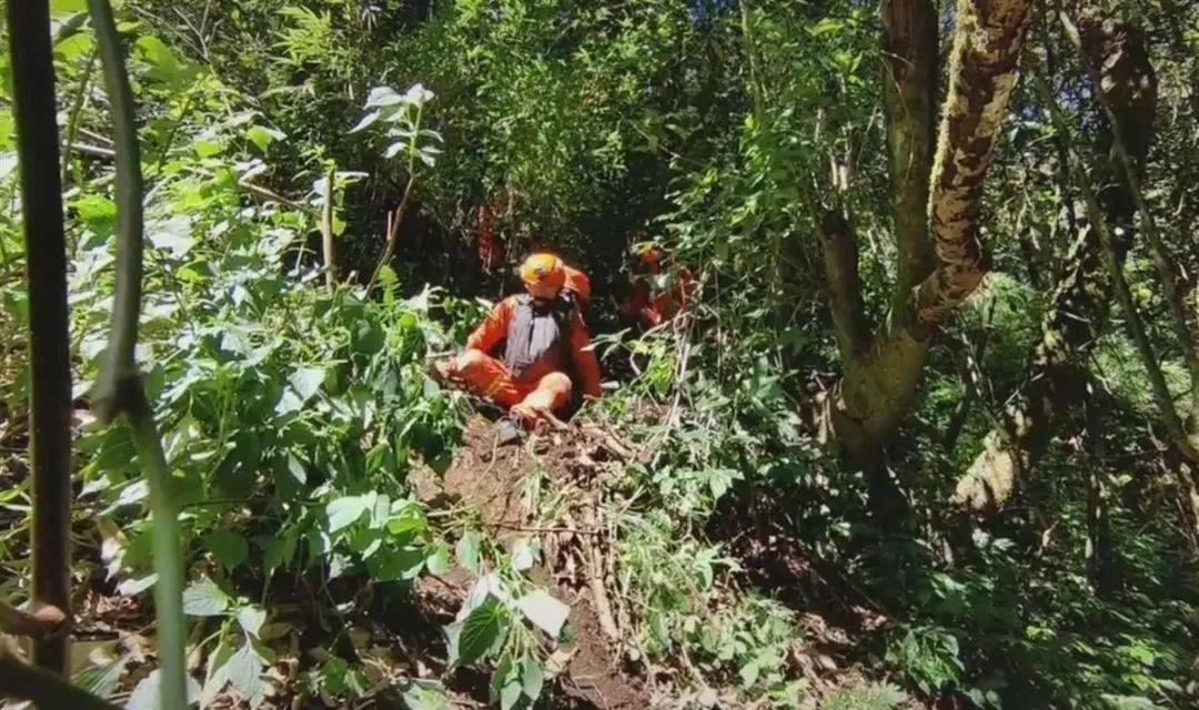 被裁员后男子孤身探险哀牢山两天一夜水粮耗尽险些丧命的惊险经历