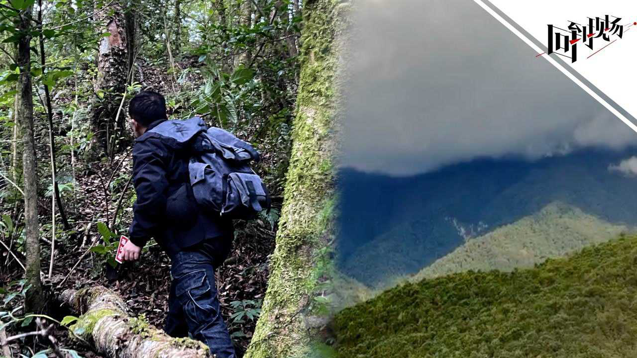 男子遭遇裁员后独自攀登哀牢山 被困两天一夜水与食物全部耗尽的故事