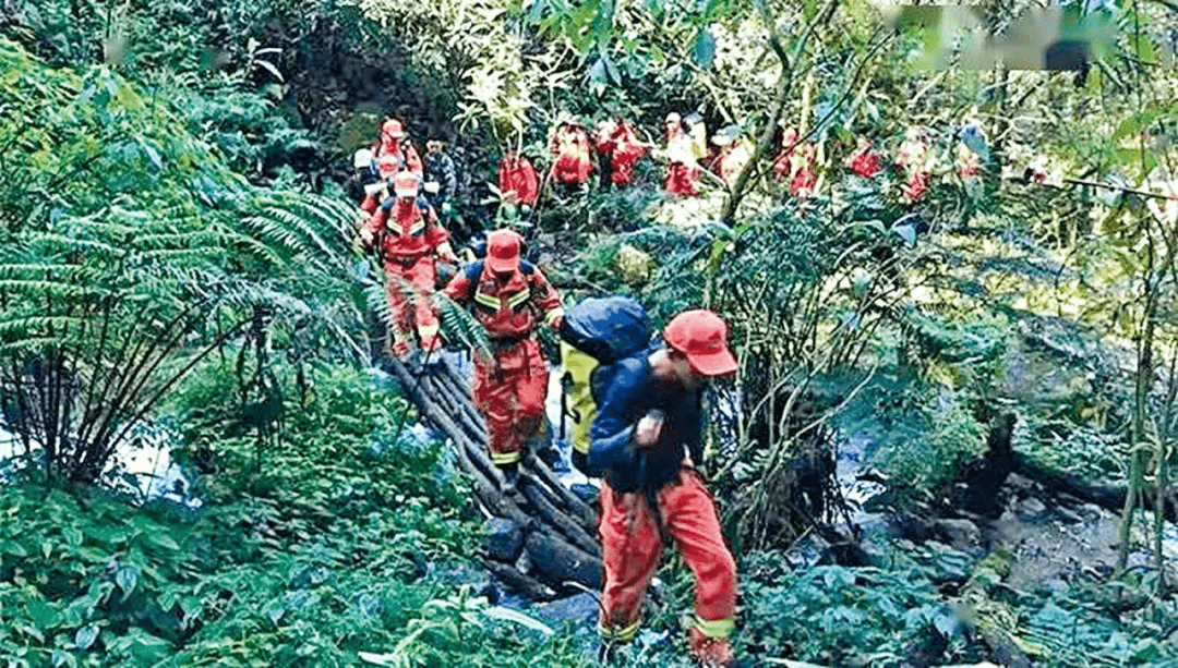 男子遭遇裁员后独自攀登哀牢山 被困两天一夜水与食物全部耗尽的故事