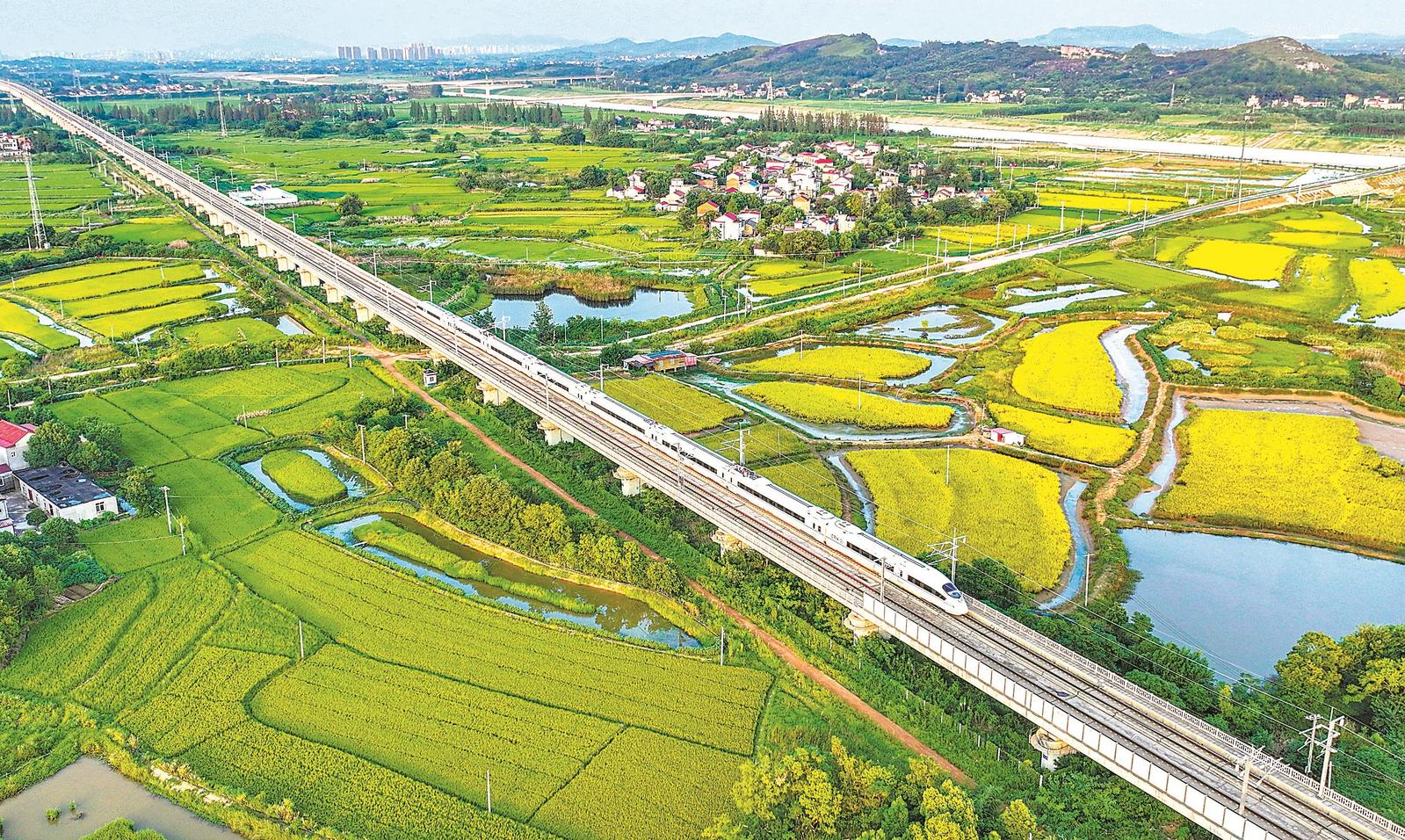 浙江台州秋日田园美景与列车穿行相遇的诗意旅程