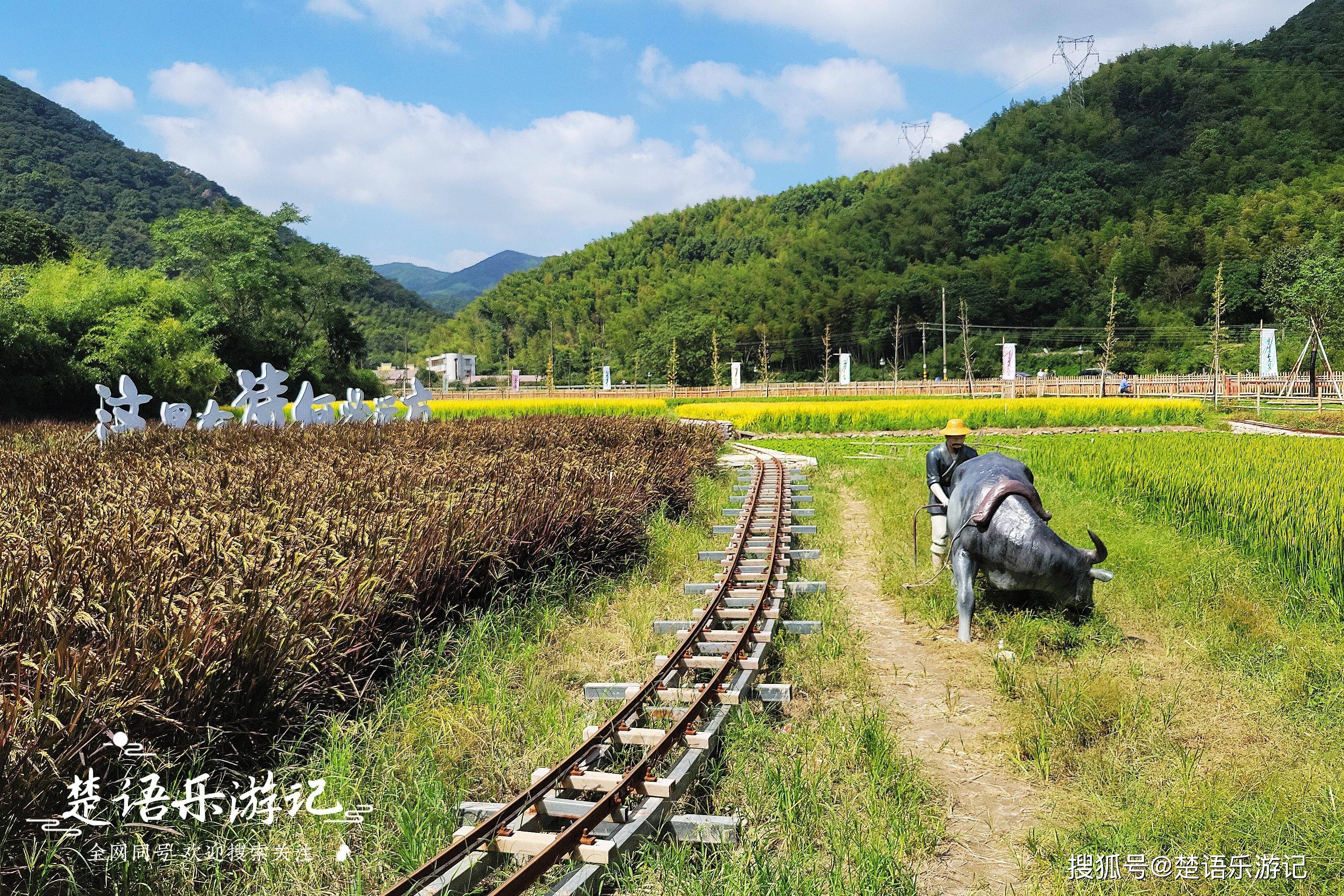 浙江台州秋日田园美景与列车穿行相遇的诗意旅程