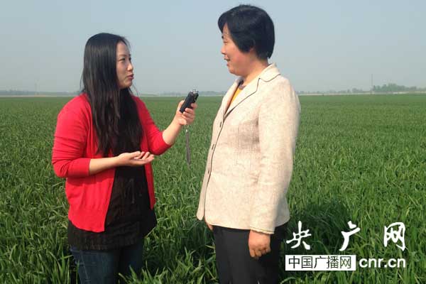 王慧迎谈青春梦想与农业发展的美丽交融助力田间花朵般的绽放之路