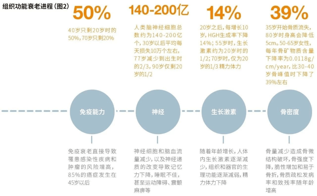 打破衰老偏见提升生活质量的秘密与智慧探讨