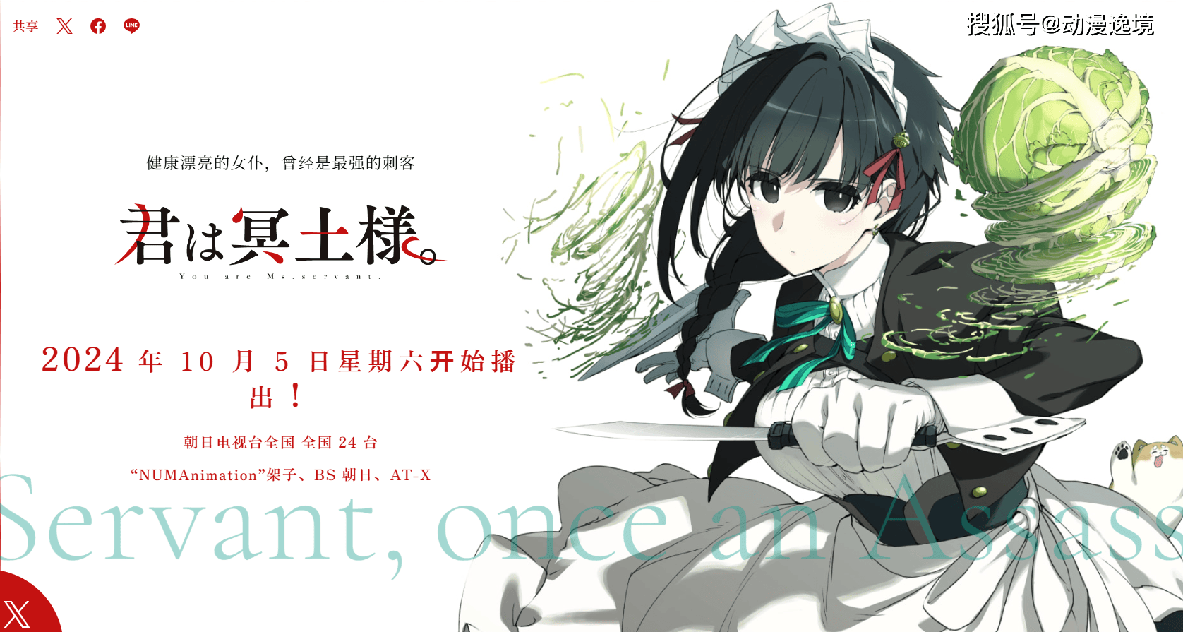 探秘冥土小姐的暗杀之路揭开背后隐秘的女仆世界与黑暗剧情的交织