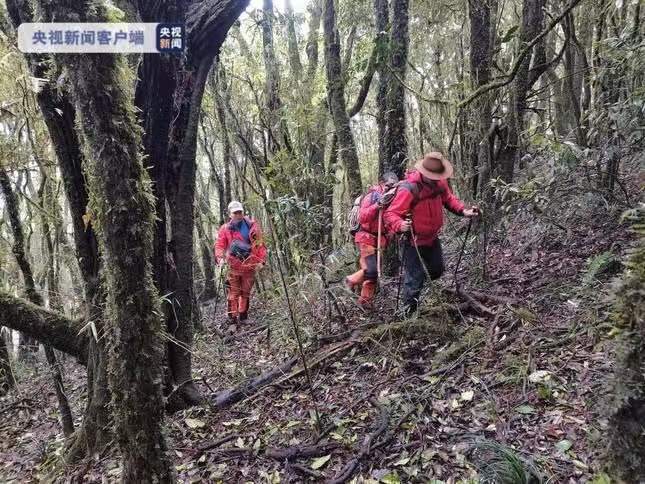 孤身一人深入哀牢山裁员后遭遇困境两天一夜水粮耗尽的惊险经历