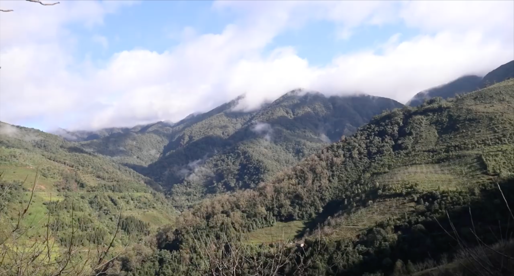 孤身一人深入哀牢山裁员后遭遇困境两天一夜水粮耗尽的惊险经历