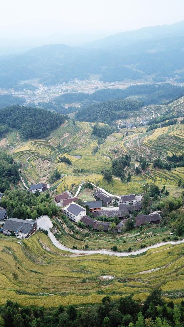 湖南娄底紫鹊界梯田步入丰收季节 稻谷飘香助力村民实现致富梦想
