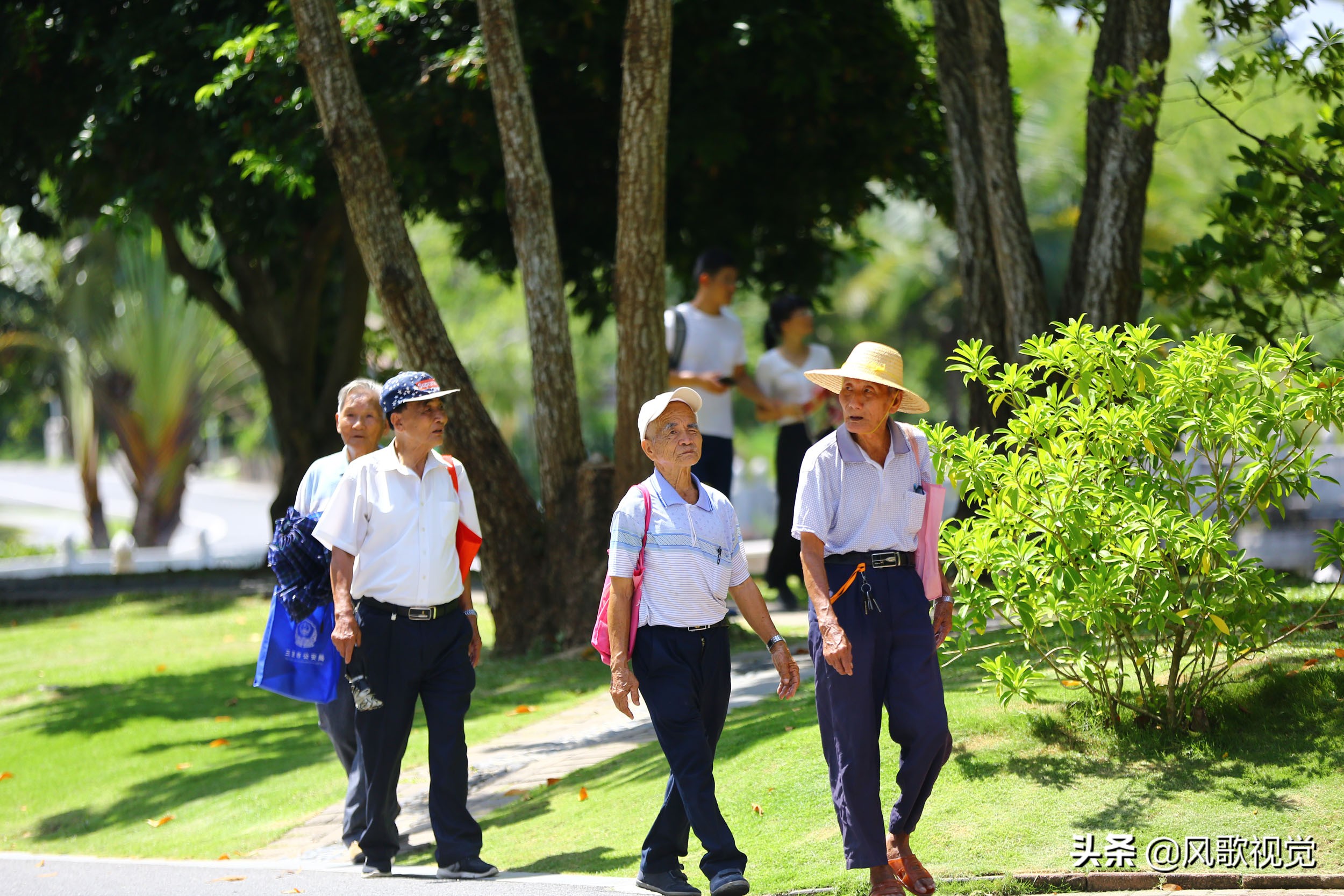 重阳节三亚错峰游精彩开启 让老年朋友们尽情体验南山长寿文化之旅