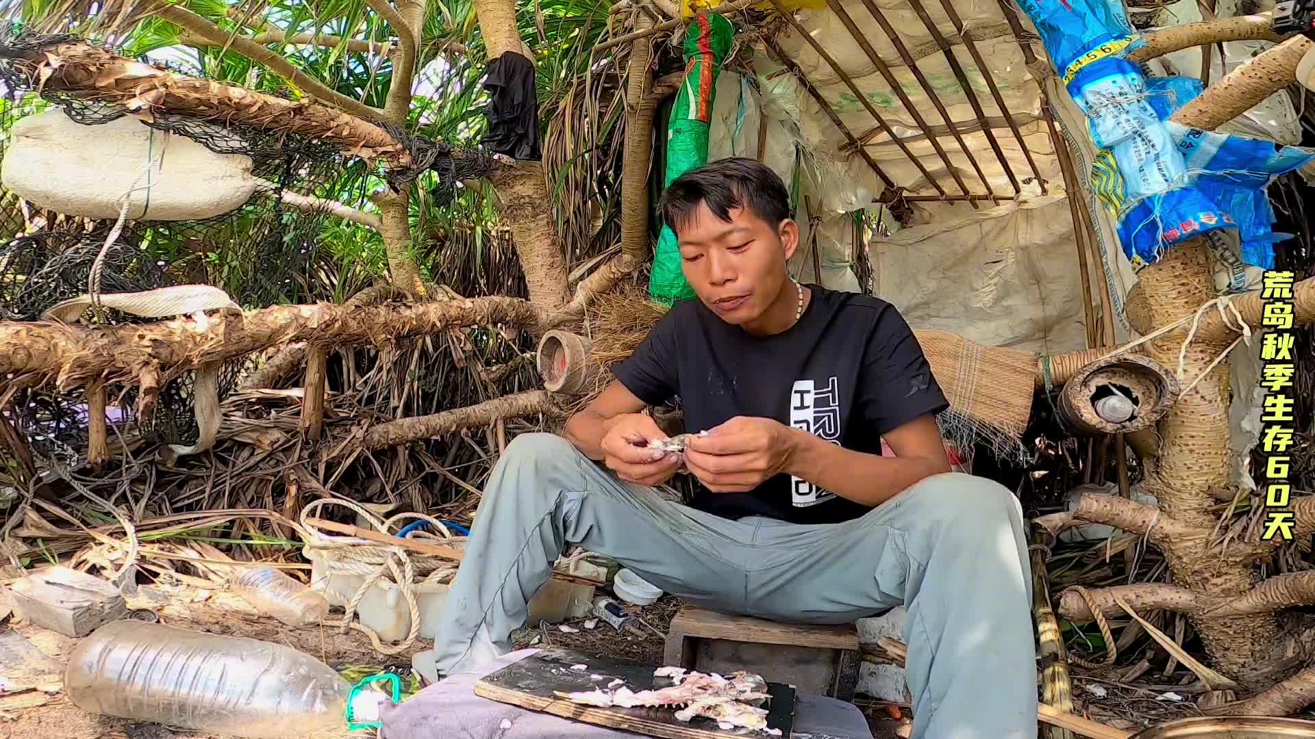 荒岛孤存生存挑战集锦从逃生到求助的一小时精彩回顾