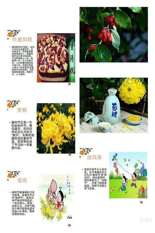 探寻佳节风情重阳节的传统习俗与家庭团聚之美妙体验