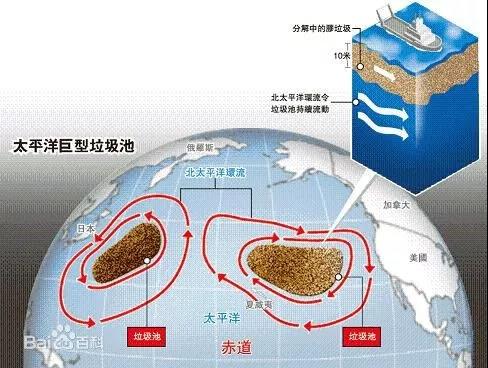 如果全球的粪便统一排放到太平洋中心将引发怎样的生态灾难与人类反思的故事