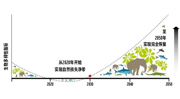全球野生动物数量暴跌七成 新版地球生命力报告揭示生态危机真相