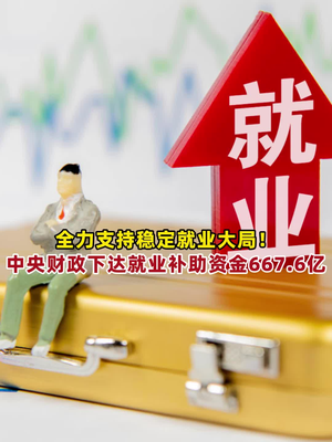 中央财政拨款667亿元助力就业促进政策全面铺开助推民生福利提升