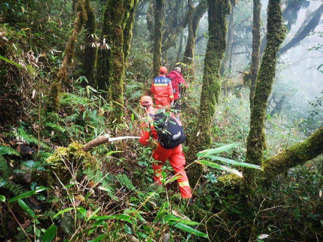 探秘哀牢山勇敢者的挑战之旅你准备好迎接这场冒险了吗