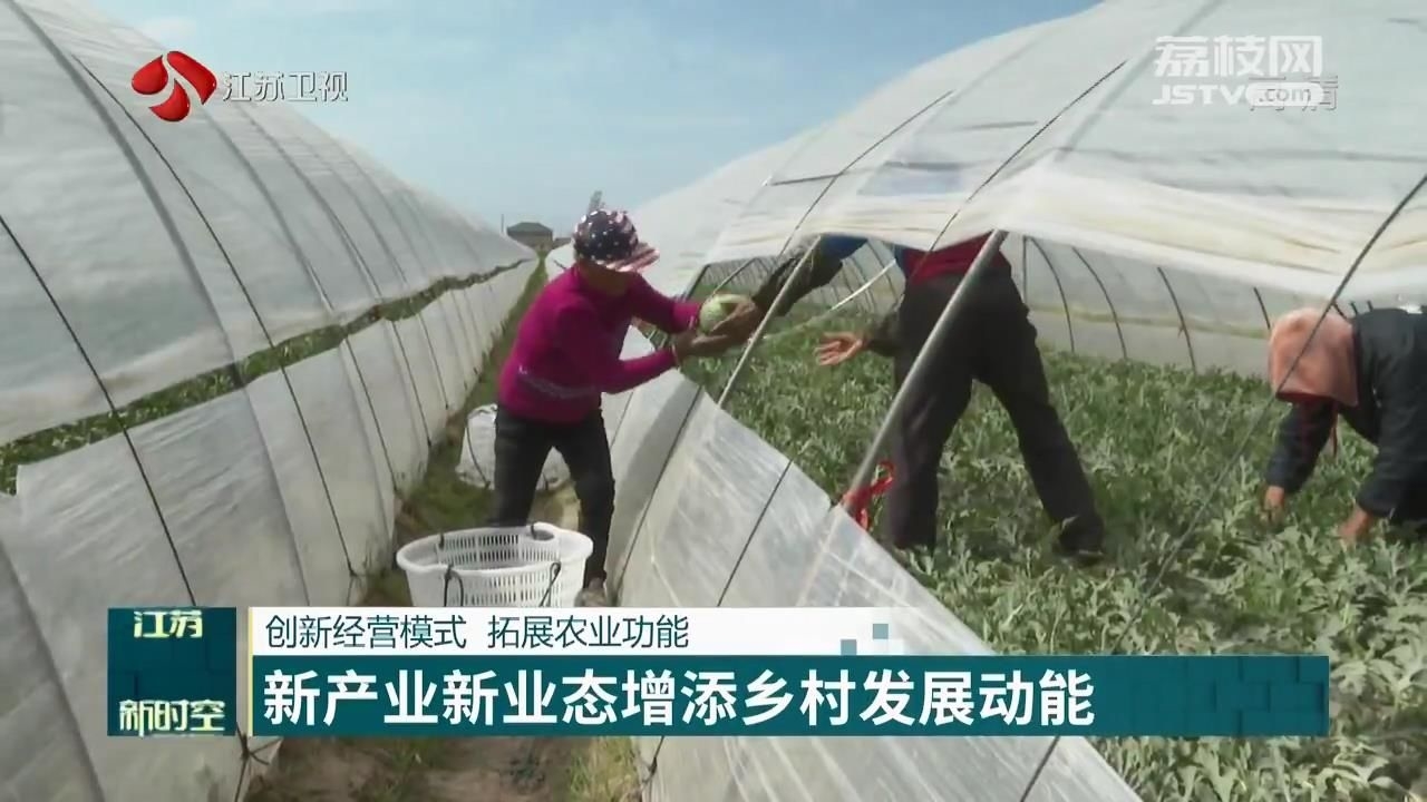 乡村振兴新动能 崭新产业与业态为农村经济注入活力