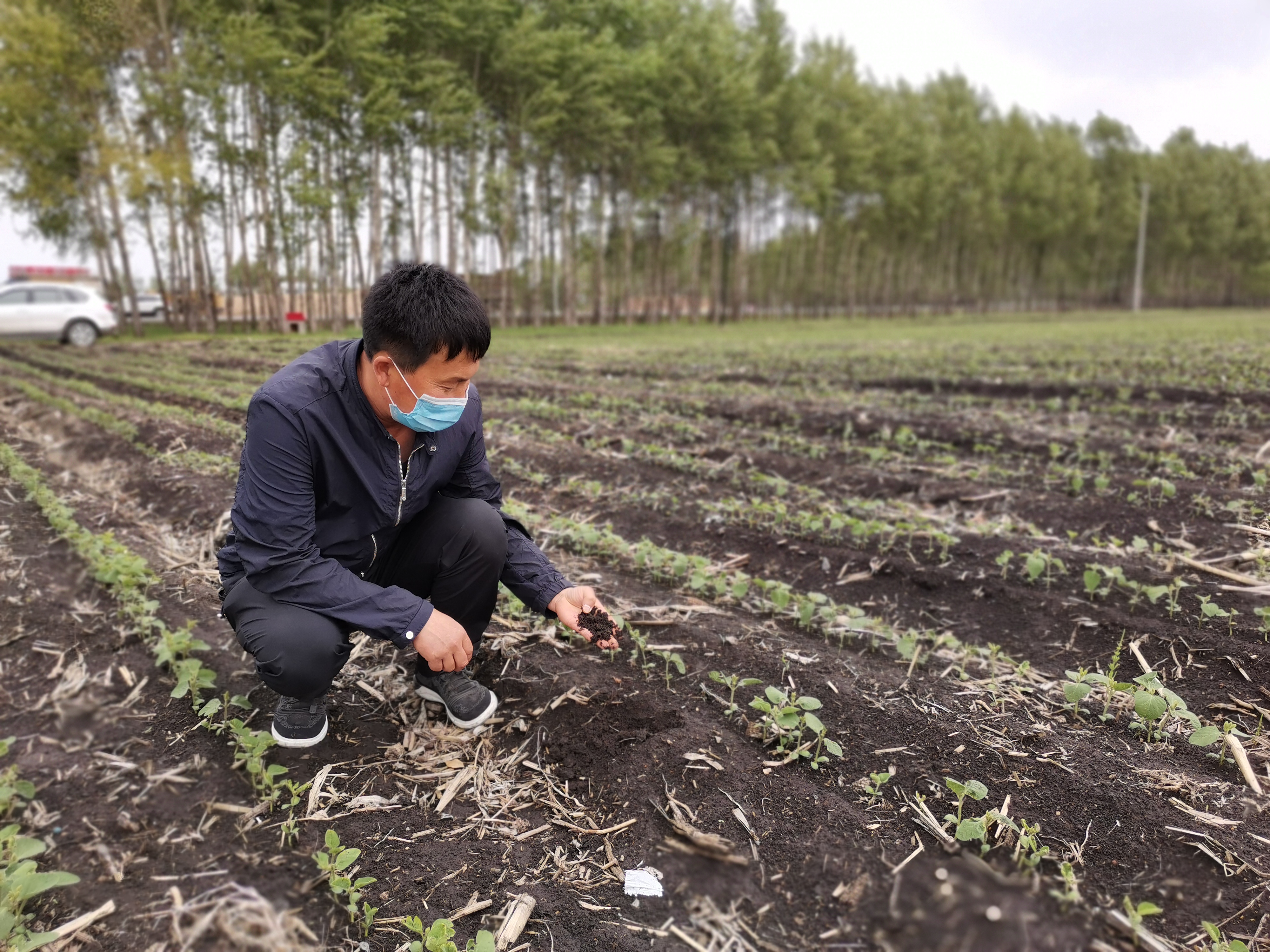 黑土地保护与丰收增收双赢之路 助力产粮大县实现可持续发展