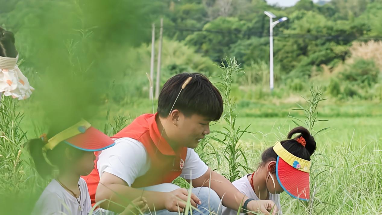 重返乡村耕耘梦想少年如何在土地上找到人生的意义与希望