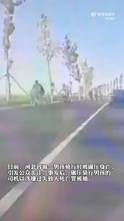 骑行男孩不幸身亡案司机赔偿获谅解事件引发社会广泛关注与深思